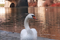 Prague