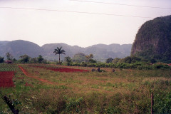 Cuba