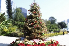 1998-12-30 Hong Kong