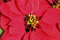 19990102-pic01003-hong-kong