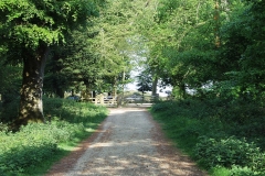 2000-05-04 Around the New Forest in a new MGF