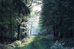 2000-05-04 Around the New Forest in a new MGF