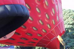 Southampton Common Balloon Festival