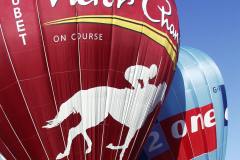 Southampton Common Balloon Festival