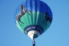 Southampton Common Balloon Festival