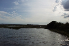 2000-08-19 MGF road trip to Lepe Beach