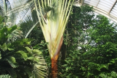 2000-09-03 Kew Gardens