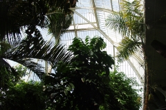 2000-09-03 Kew Gardens