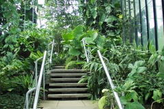 2000-09-03 Kew Gardens
