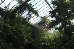 2000-09-03 Kew Gardens
