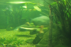 2000-09-03 Kew Gardens