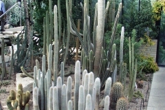 2000-09-03 Kew Gardens