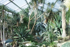 2000-09-03 Kew Gardens