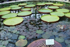 2000-09-03 Kew Gardens