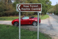 20010511-img_0323-mgf-new-forest