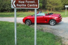 20010511-img_0324-mgf-new-forest