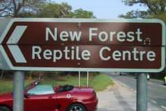 20010511-img_0325-mgf-new-forest