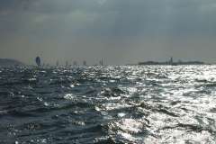 Sailing with Gibbsey