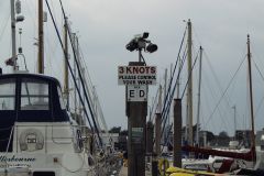 Sailing with Gibbsey