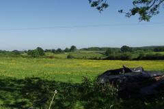 Minstead