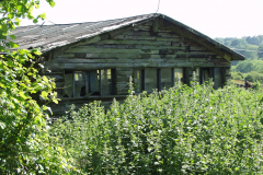 Minstead