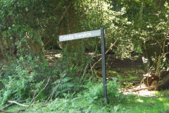 Minstead