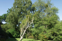 Minstead