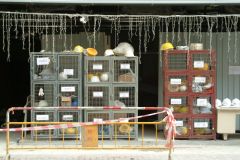 20040112-dscf1101-hong-kong