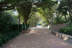 20040113-dscf1037-hong-kong