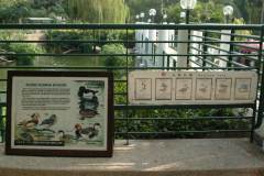 20040113-dscf1082-hong-kong