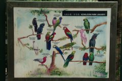 20040113-dscf1111-hong-kong