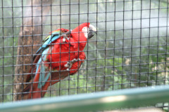 20040113-dscf1135-hong-kong