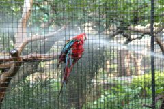 20040113-dscf1136-hong-kong