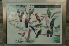 20040113-dscf1148-hong-kong