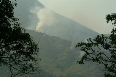 Fire in the Mui Wo Hills