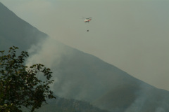 Fire in the Mui Wo Hills