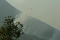 Fire in the Mui Wo Hills