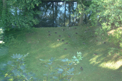20040625-dscf4173-art