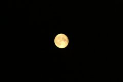 2004-07-03  The Moon from London
