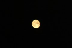2004-07-03 Moon viewed from London
