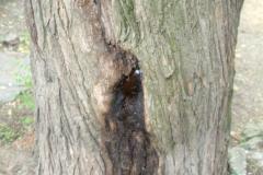 dscf2368