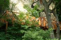 dscf2459