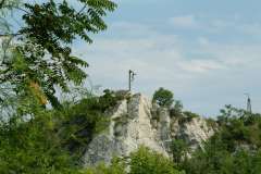 dscf2461