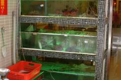 20040919-dscf1275-macau