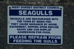 20050530-dscf1208-lyme-regis-trip