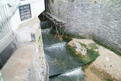 20050530-dscf1242-lyme-regis-trip