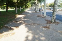 20050907-dscf3123-lisbon