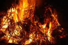 20051210-dscff1025-bonfire