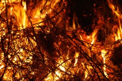 20051210-dscff1026-bonfire