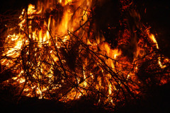 20051210-dscff1030-bonfire